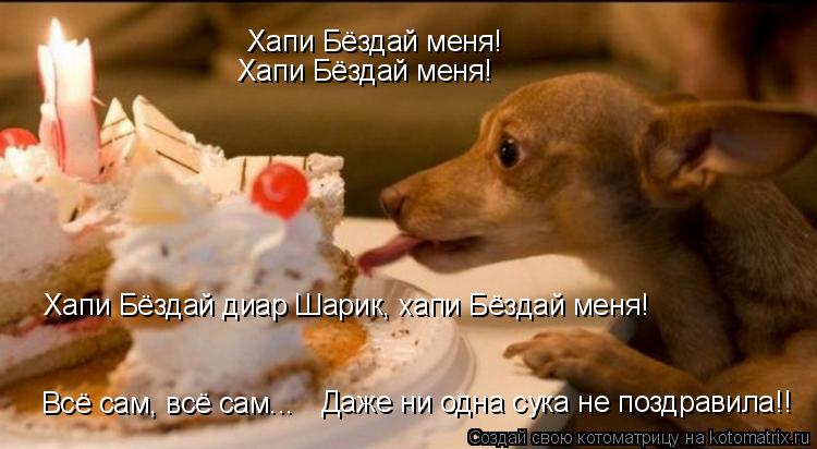 Котоматрица: Хапи Бёздай меня! Хапи Бёздай меня! Хапи Бёздай диар Шарик, хапи Бёздай меня! Даже ни одна сука не поздравила!! Всё сам, всё сам...
