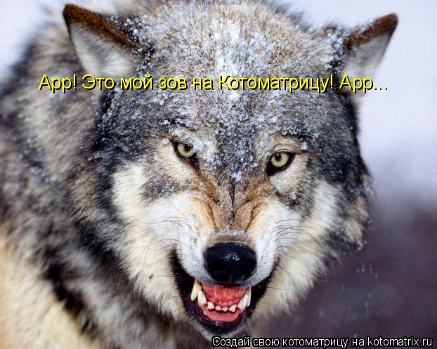 Арр! Это мой зов на Котоматрицу! Арр...... Котоматрица: Арр! Это мой зов на Котоматрицу! Арр...