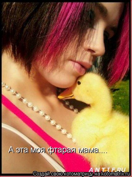 А эта моя фтарая мама....... Котоматрица: А эта моя фтарая мама....