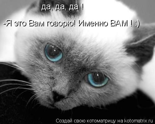 да, да, да ! -Я это Вам говорю! Именно ВАМ ! :)... Котоматрица: да, да, да ! -Я это Вам говорю! Именно ВАМ ! :)