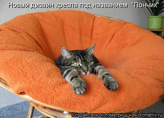 Новый дизайн кресла под названием "Пончик"... Котоматрица: Новый дизайн кресла под названием "Пончик"