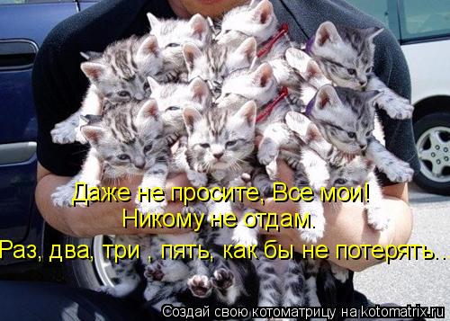 Даже не просите, Все мои! Никому не отдам. Раз, два, три , пять, как бы не потерять...... Котоматрица: Даже не просите, Все мои! Никому не отдам. Раз, два, три , пять, как бы не потерять...