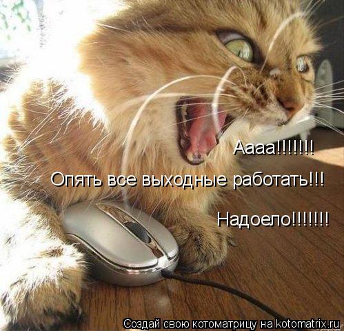 Аааа!!!!!!! Опять все выходные работать!!! Опять все выходные работать!!! Надоело!!!!!!!... Котоматрица: Аааа!!!!!!! Опять все выходные работать!!! Опять все выходные работать!!! Надоело!!!!!!!