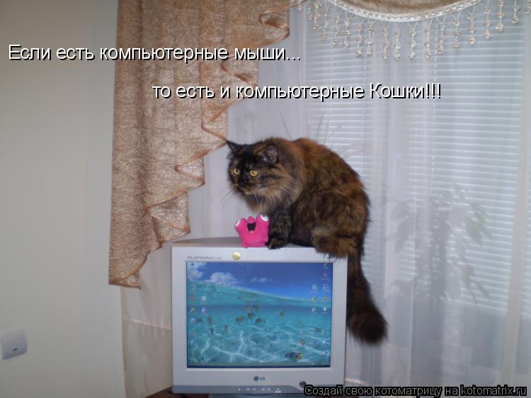Если есть компьютерные мыши... то есть и компьютерные Кошки!!!... Котоматрица: Если есть компьютерные мыши... то есть и компьютерные Кошки!!!