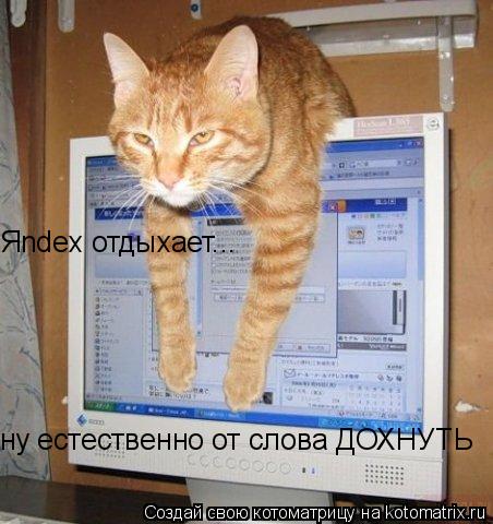 Котоматрица: Яndex отдыхает... ну естественно от слова ДОХНУТЬ