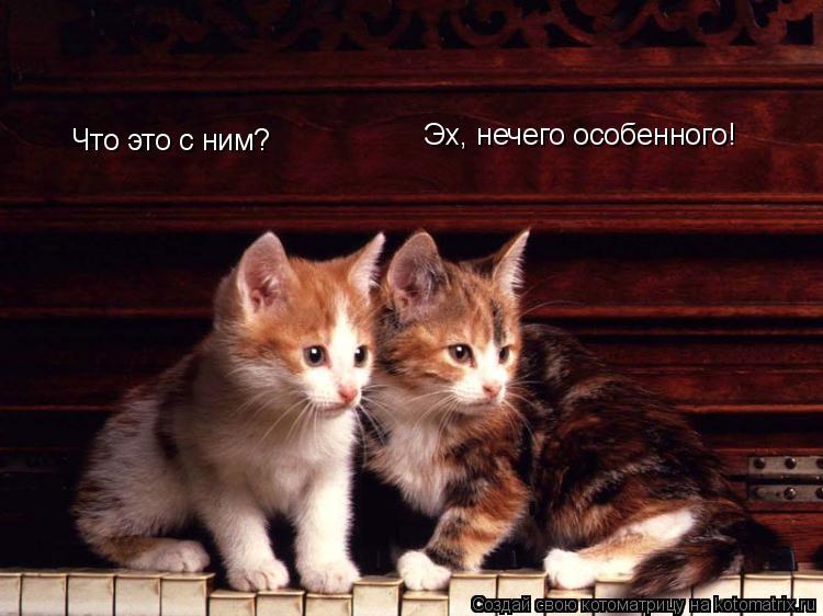 Что это с ним? Эх, нечего особенного!... Котоматрица: Что это с ним? Эх, нечего особенного!