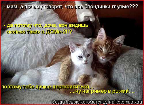 - да потому что, доча, вон видишь сколько таких в ДОМе-2!!? поэтому тебе лучше перекраситься... ....... Котоматрица: - да потому что, доча, вон видишь сколько таких в ДОМе-2!!? поэтому тебе лучше перекраситься... ....ну например в рыжий.... - мам, а почему говорят,