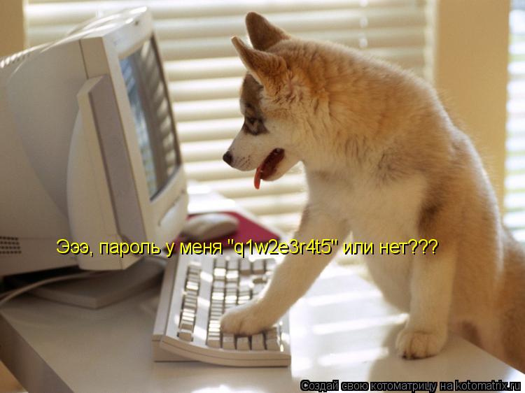 Эээ, пароль у меня "q1w2e3r4t5" или нет??? Эээ, пароль у меня "q1w2e3r4t5" или нет???... Котоматрица: Эээ, пароль у меня "q1w2e3r4t5" или нет??? Эээ, пароль у меня "q1w2e3r4t5" или нет???