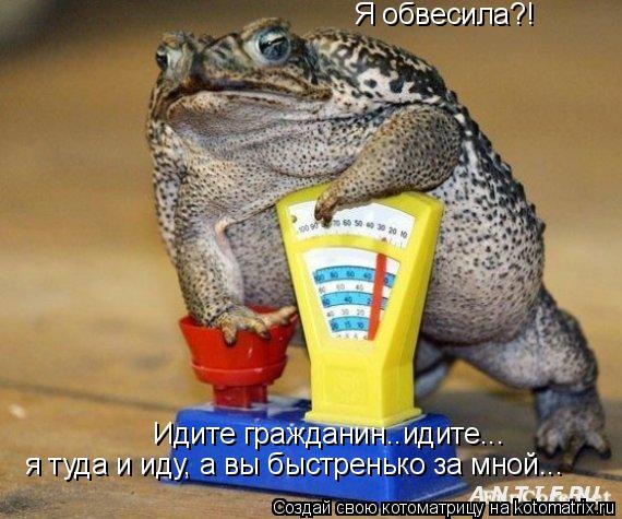 Я обвесила?! Идите гражданин..идите... я туда и иду, а вы быстренько за мной...... Котоматрица: Я обвесила?! Идите гражданин..идите... я туда и иду, а вы быстренько за мной...