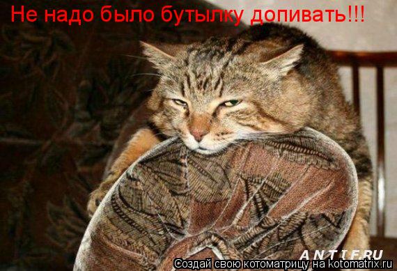 Котоматрица: Не надо было бутылку допивать!!!