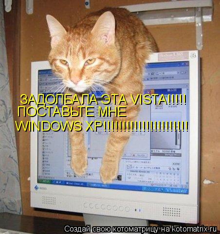 ЗАДОЛБАЛА ЭТА VISTA!!!!! ПОСТАВЬТЕ МНЕ WINDOWS XP!!!!!!!!!!!!!!!!!!!!!!... Котоматрица: ЗАДОЛБАЛА ЭТА VISTA!!!!! ПОСТАВЬТЕ МНЕ WINDOWS XP!!!!!!!!!!!!!!!!!!!!!!
