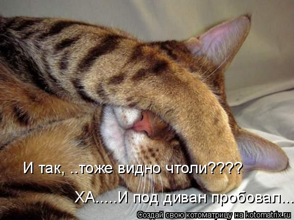 И так, ..тоже видно чтоли???? ХА.....И под диван пробовал...... Котоматрица: И так, ..тоже видно чтоли???? ХА.....И под диван пробовал...