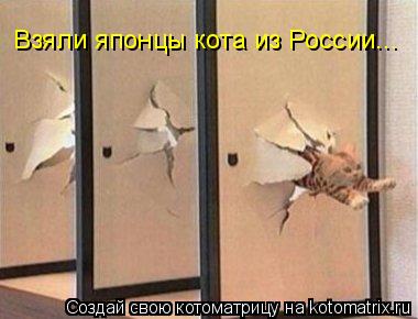 Взяли японцы кота из России...... Котоматрица: Взяли японцы кота из России...