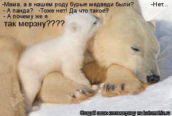 -Мама, а в нашем роду бурые медведи были? -Нет... - А панда? -Тоже нет! Да что такое? - А ... Котоматрица: -Мама, а в нашем роду бурые медведи были? -Нет... - А панда? -Тоже нет! Да что такое? - А почему же я так мерзну????