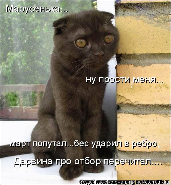 Марусенька... ну прости меня... март попутал...бес ударил в ребро, Дарвина про отбор перечитал....... Котоматрица: Марусенька... ну прости меня... март попутал...бес ударил в ребро, Дарвина про отбор перечитал....