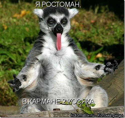 Я РОСТОМАН, В КАРМАНЕ 2 КОСЯКА... Котоматрица: Я РОСТОМАН, В КАРМАНЕ 2 КОСЯКА