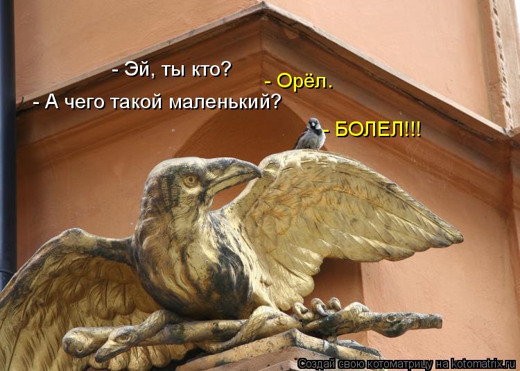 - Эй, ты кто? - Орёл. - А чего такой маленький? - БОЛЕЛ!!!... Котоматрица: - Эй, ты кто? - Орёл. - А чего такой маленький? - БОЛЕЛ!!!