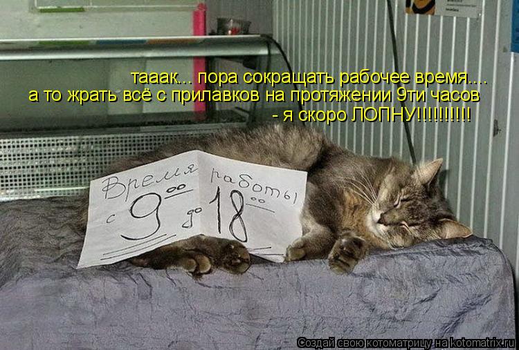 тааак... пора сокращать рабочее время.... а то жрать всё с прилавков на протяжении 9ти часов - я ско... Котоматрица: тааак... пора сокращать рабочее время.... а то жрать всё с прилавков на протяжении 9ти часов - я скоро ЛОПНУ!!!!!!!!!!