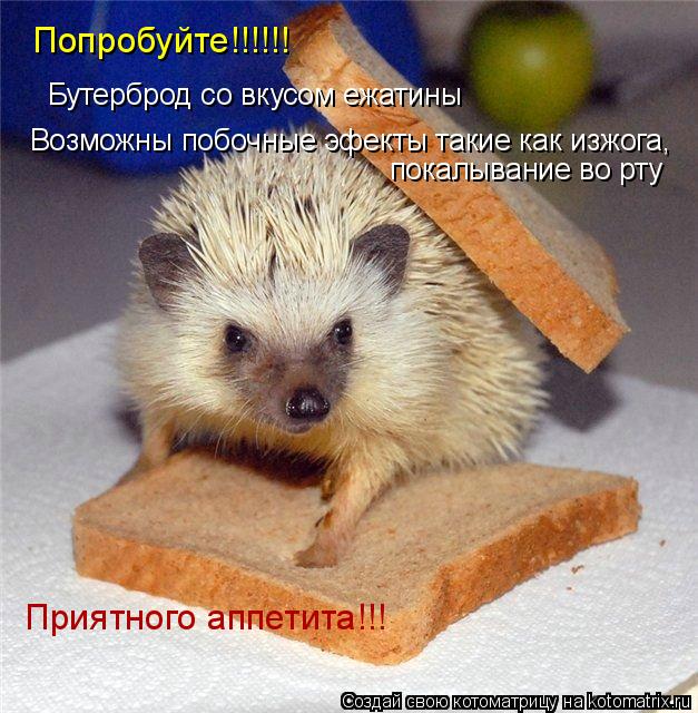 Попробуйте!!!!!! Бутерброд со вкусом ежатины Возможны побочные эфекты такие как изжога, покалывание в... Котоматрица: Попробуйте!!!!!! Бутерброд со вкусом ежатины Возможны побочные эфекты такие как изжога, покалывание во рту Приятного аппетита!!!