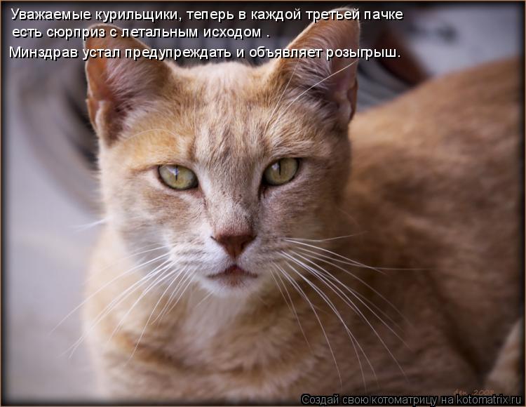 Уважаемые курильщики, теперь в каждой третьей пачке есть сюрприз с летальным исходом — Минздрав уст... Котоматрица: Уважаемые курильщики, теперь в каждой третьей пачке есть сюрприз с летальным исходом — Минздрав устал предупреждать и объявляет розыгры