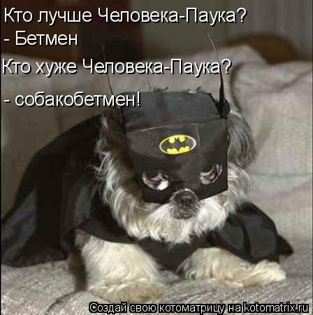 Кто лучше Человека-Паука? - Бетмен Кто хуже Человека-Паука? - собакобетмен!... Котоматрица: Кто лучше Человека-Паука? - Бетмен Кто хуже Человека-Паука? - собакобетмен!