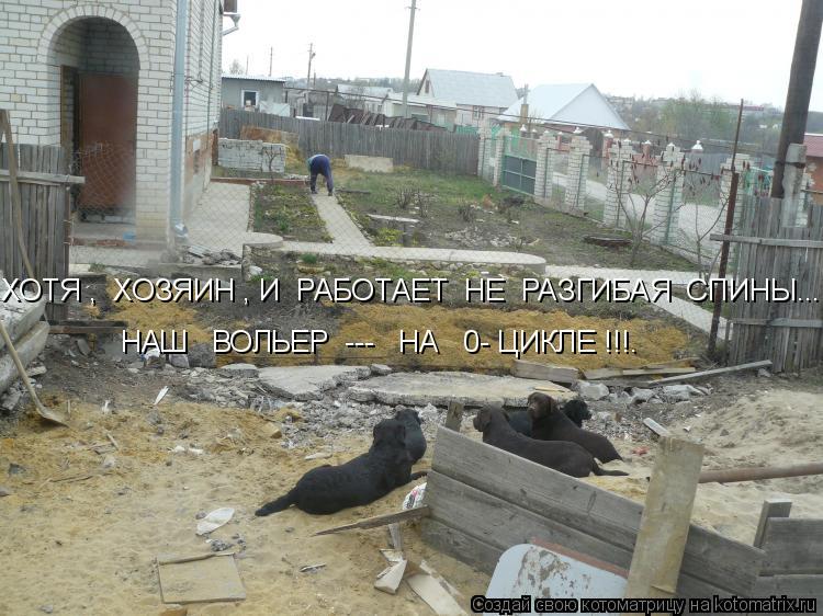 Котоматрица: ХОТЯ ,  ХОЗЯИН , И  РАБОТАЕТ  НЕ  РАЗГИБАЯ  СПИНЫ.... НАШ   ВОЛЬЕР  ---   НА   0- ЦИКЛЕ !!!.