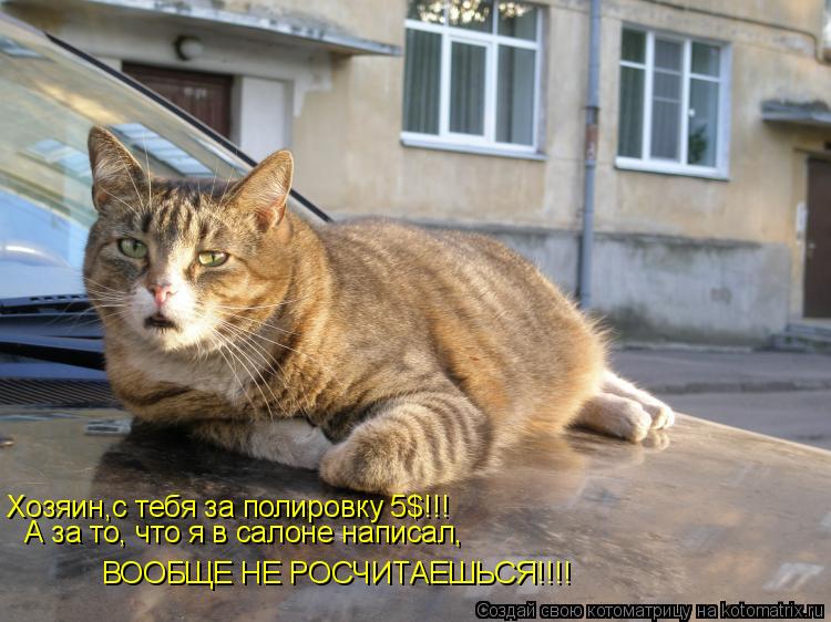 Хозяин,с тебя за полировку 5$!!! А за то, что я в салоне написал, ВООБЩЕ НЕ РОСЧИТАЕШЬСЯ!!!!... Котоматрица: Хозяин,с тебя за полировку 5$!!! А за то, что я в салоне написал, ВООБЩЕ НЕ РОСЧИТАЕШЬСЯ!!!!