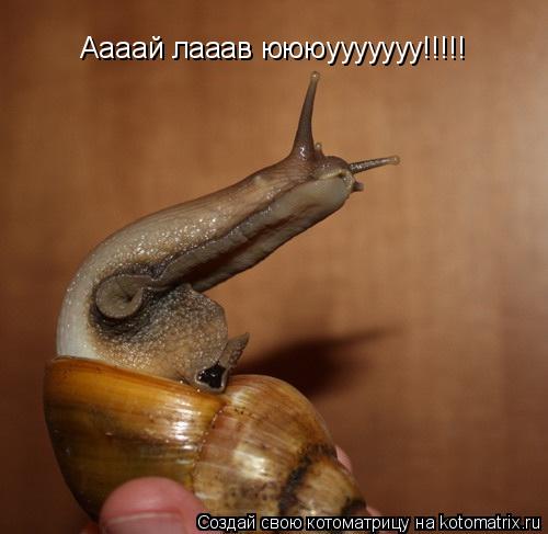 Аааай лааав юююууууууу!!!!!... Котоматрица: Аааай лааав юююууууууу!!!!!