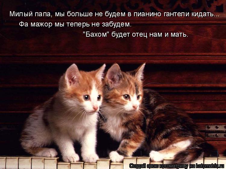 Котоматрица: Милый папа, мы больше не будем в пианино гантели кидать...  Фа мажор мы теперь не забудем.  "Бахом" будет отец нам и мать.