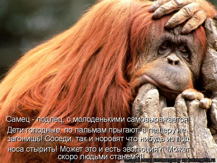 Самец - подлец, с молоденькими самовыражается! Дети голодные, по пальмам прыгают, в пещеру не носа с... Котоматрица: Самец - подлец, с молоденькими самовыражается! Дети голодные, по пальмам прыгают, в пещеру не носа стырить! Может это и есть эволюция?! Может
