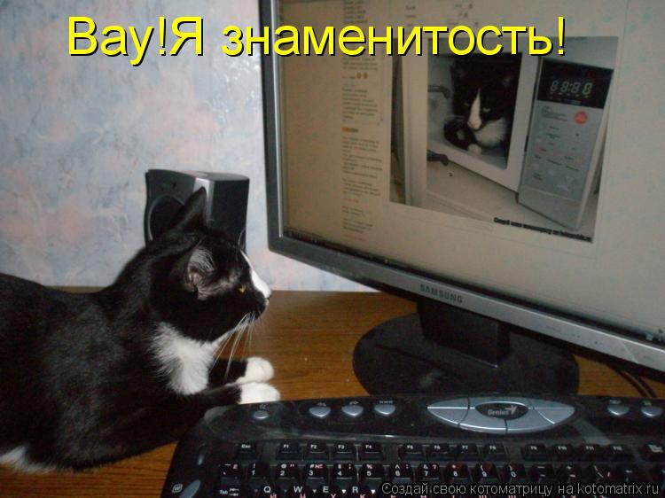 Вау!Я знаменитость!... Котоматрица: Вау!Я знаменитость!