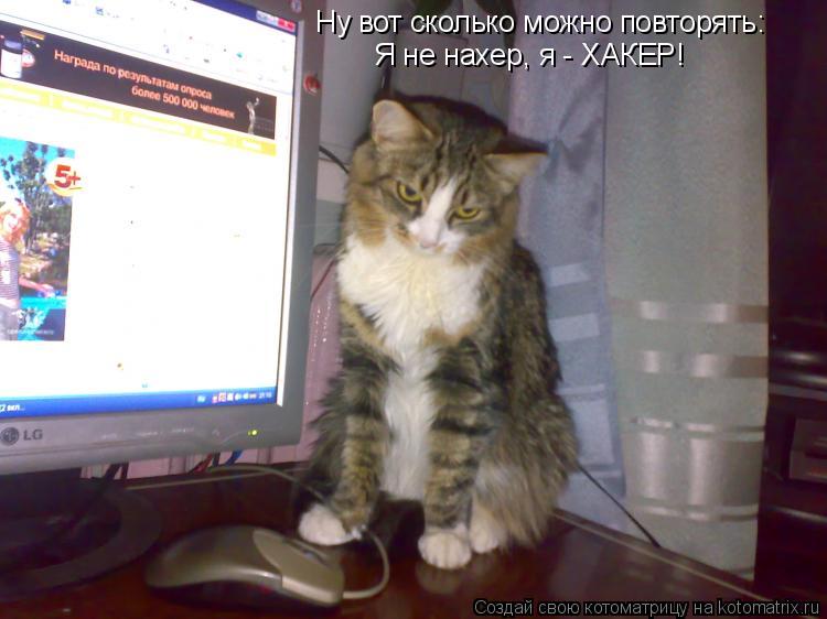 Ну вот сколько можно повторять: Я не нахер, я - ХАКЕР!... Котоматрица: Ну вот сколько можно повторять: Я не нахер, я - ХАКЕР!