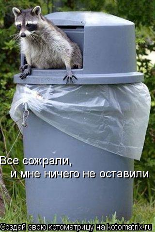 Все сожрали, и мне ничего не оставили... Котоматрица: Все сожрали, и мне ничего не оставили