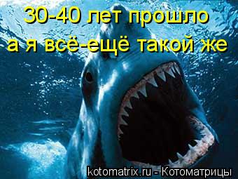 30-40 лет прошло а я всё-ещё такой же... Котоматрица: 30-40 лет прошло а я всё-ещё такой же