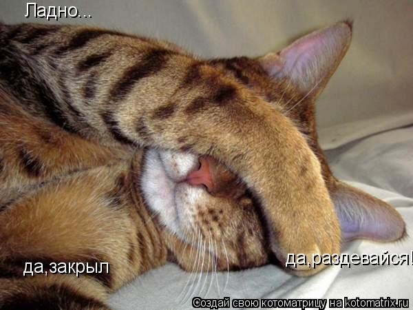 Ладно... да,закрыл да,раздевайся!... Котоматрица: Ладно... да,закрыл да,раздевайся!