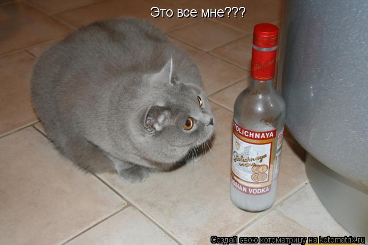 Это все мне???... Котоматрица: Это все мне???