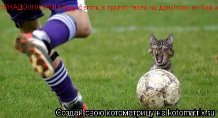 НЕНАДО!!!!!!!!!!!!!я буду бегать в туалет тепер на двор!токо не бей аааааа!!!... Котоматрица: НЕНАДО!!!!!!!!!!!!!я буду бегать в туалет тепер на двор!токо не бей аааааа!!!