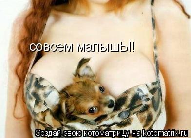 совсем малышЫ!... Котоматрица: совсем малышЫ!