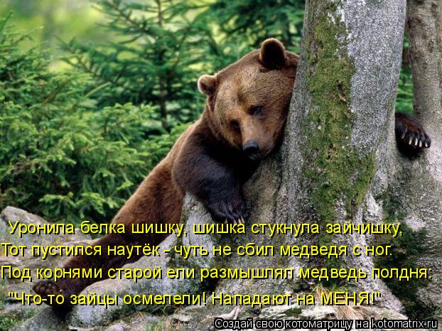 Тот пустился наутёк - чуть не сбил медведя с ног. Уронила белка шишку, шишка стукнула зайчишку, Под к... Котоматрица: Тот пустился наутёк - чуть не сбил медведя с ног. Уронила белка шишку, шишка стукнула зайчишку, Под корнями старой ели размышлял медведь пол