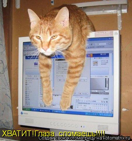 ХВАТИТ!Глаза сломаешь!!!!... Котоматрица: ХВАТИТ!Глаза сломаешь!!!!