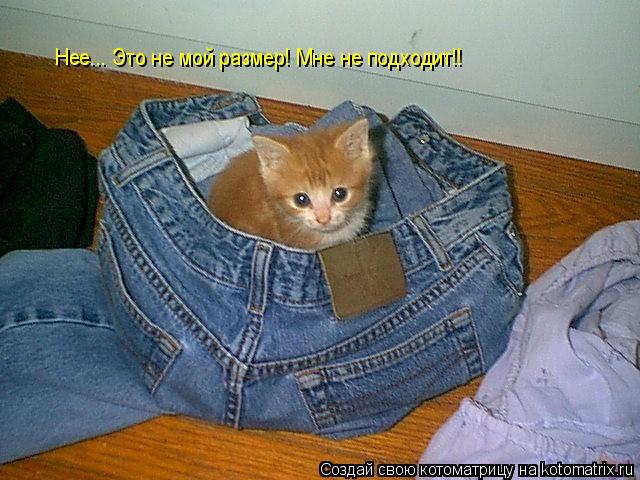 Нее... Это не мой размер! Мне не подходит!!... Котоматрица: Нее... Это не мой размер! Мне не подходит!!
