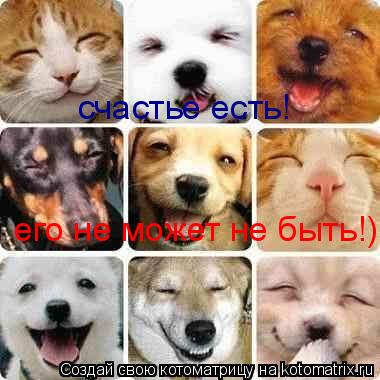 счастье есть! его не может не быть!)... Котоматрица: счастье есть! его не может не быть!)