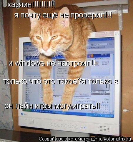 хазяин!!!!!!!!!! я почту ещё не проверил!!! и windows не настроил!! только что это такое?я только в о... Котоматрица: хазяин!!!!!!!!!! я почту ещё не проверил!!! и windows не настроил!! только что это такое?я только в он лайн игры могу играть!!