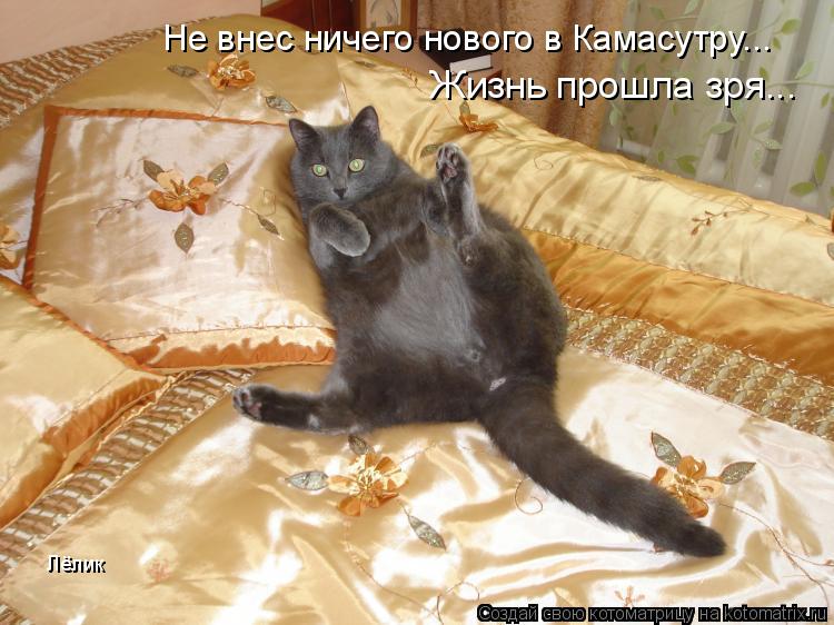 Не внес ничего нового в Камасутру... Жизнь прошла зря... Лёлик... Котоматрица: Не внес ничего нового в Камасутру... Жизнь прошла зря... Лёлик