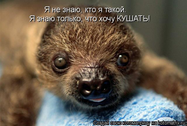 Я не знаю, кто я такой. Я знаю только, что хочу КУШАТЬ!... Котоматрица: Я не знаю, кто я такой. Я знаю только, что хочу КУШАТЬ!