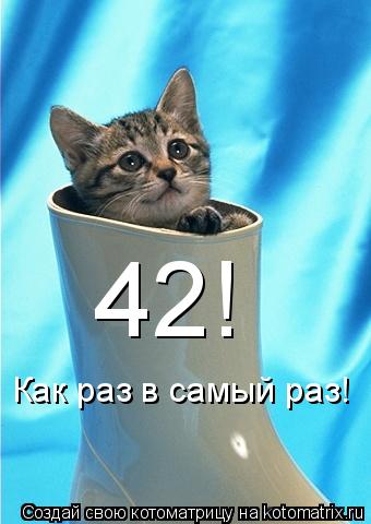 Котоматрица: 42! Как раз в самый раз!