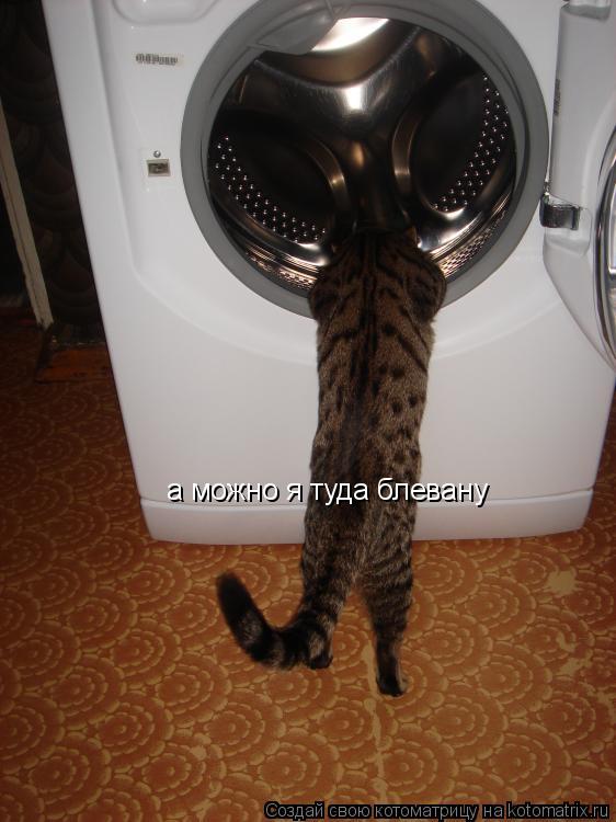 а можно я туда блевану... Котоматрица: а можно я туда блевану