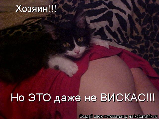 Котоматрица: Хозяин!!! Хозяин!!! Но ЭТО даже не ВИСКАС!!!