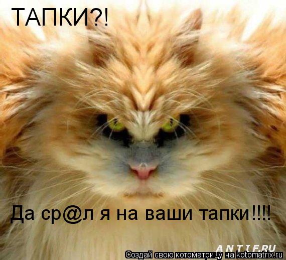 ТАПКИ?! Да ср@л я на ваши тапки!!!!... Котоматрица: ТАПКИ?! Да ср@л я на ваши тапки!!!!