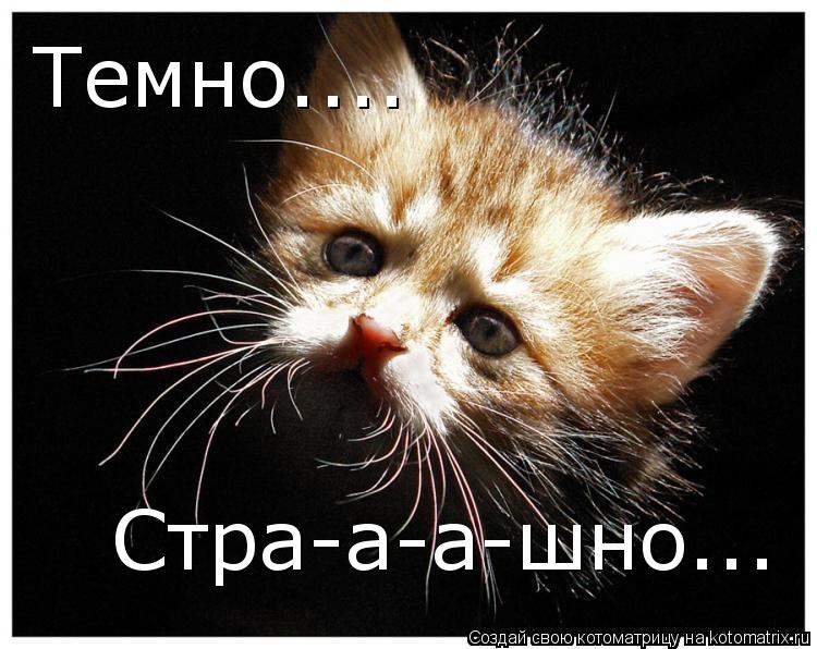 Темно.... Стра-а-а-шно...... Котоматрица: Темно.... Стра-а-а-шно...